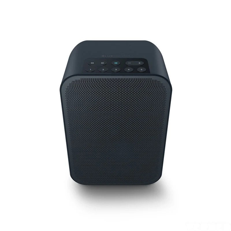 Bluesound Flex 2i