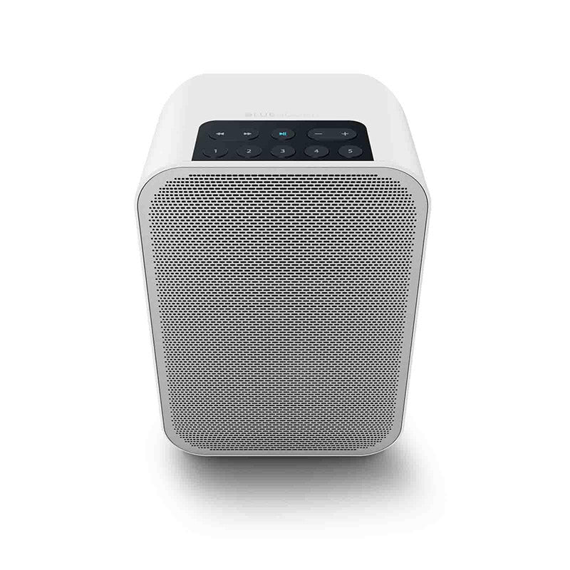 Bluesound Flex 2i