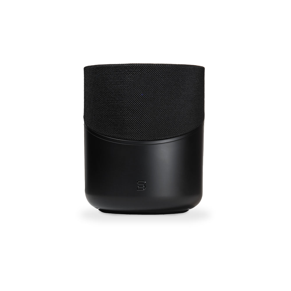 Bluesound Pulse M